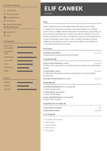 Bakıcı Cv Örnekleri cv indir